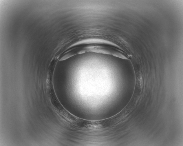 X0000066120552200603131331