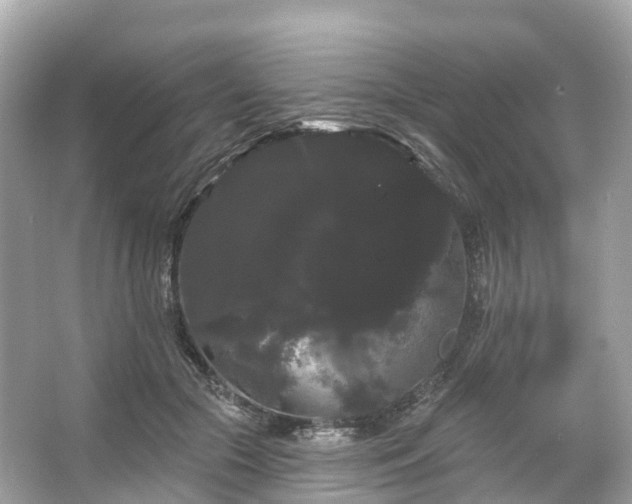 X0000066120553200603131331