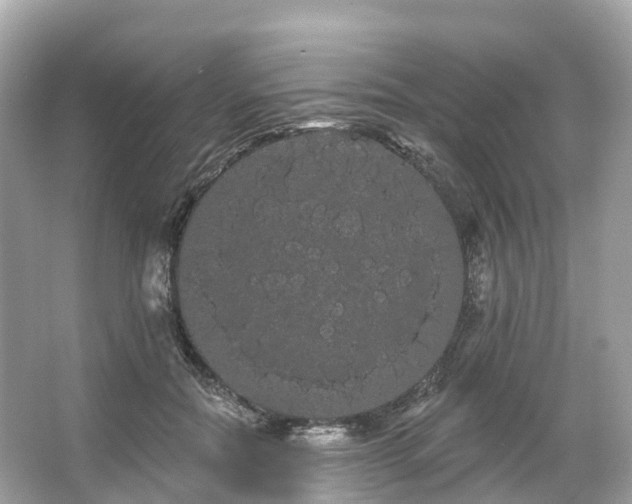 X0000066120554200603131331