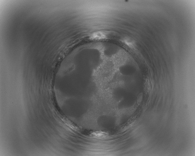 X0000066120557200603131331