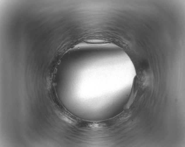 X0000066120558200603131331