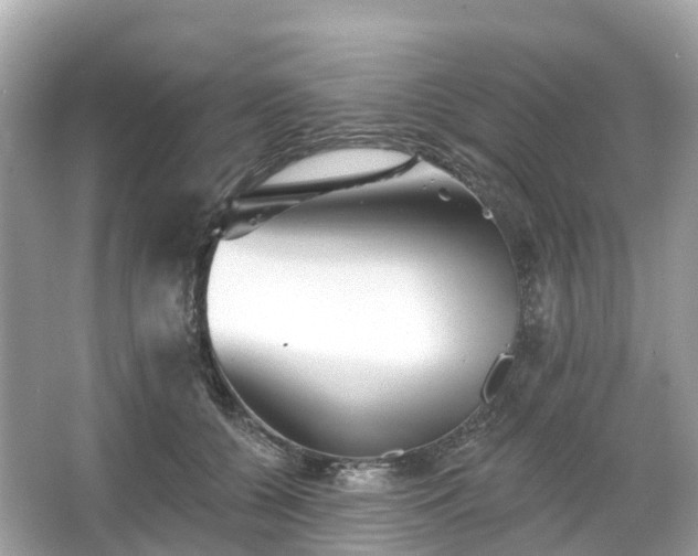 X0000066120560200603131331