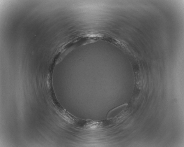 X0000066120563200603131331