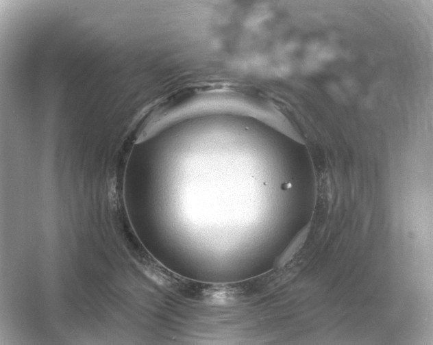 X0000066120564200603131331