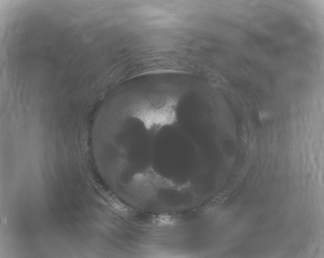 X0000066120565200603131331