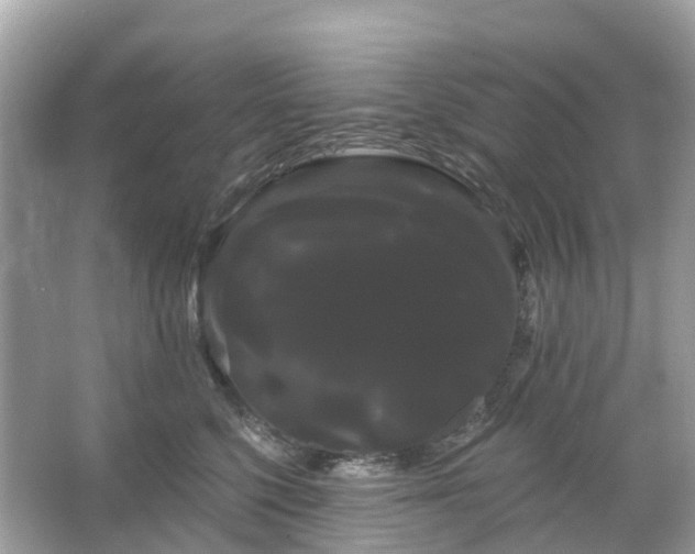 X0000066120568200603131331