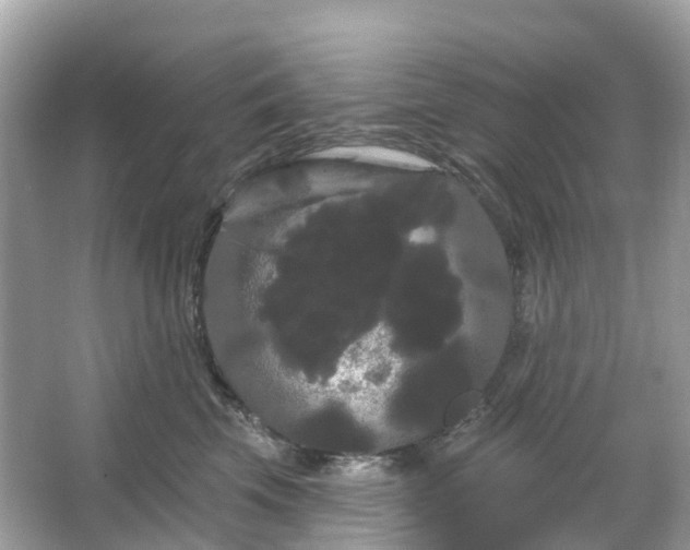 X0000066120569200603131331