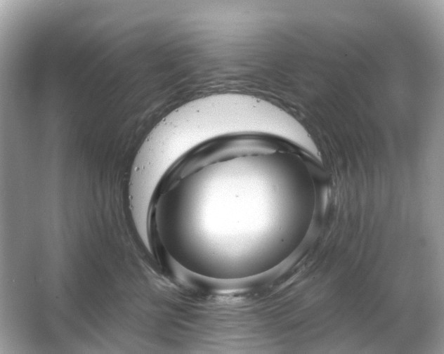 X0000066120570200603131331