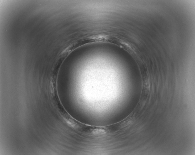 X0000066120572200603131331