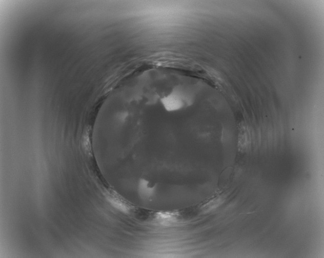 X0000066120573200603131331