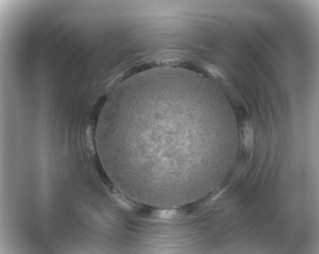 X0000066120575200603131331