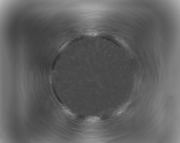 X0000066120576200603131331