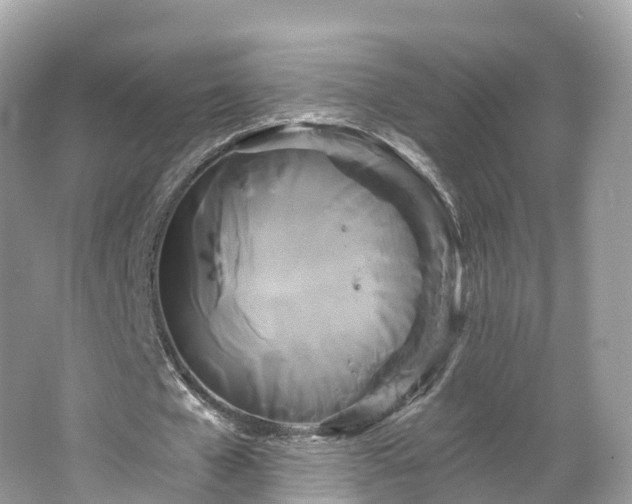 X0000066120577200603131330