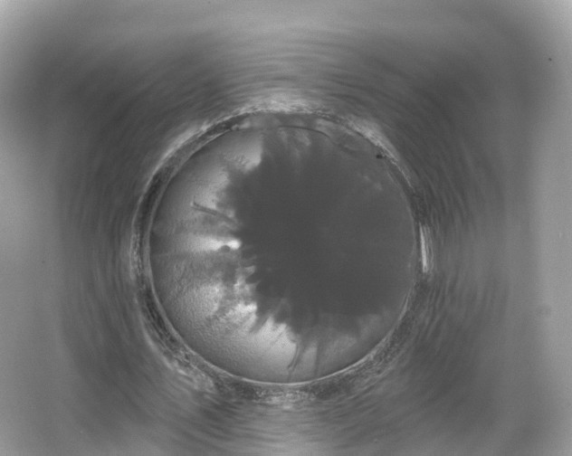 X0000066120579200603131330