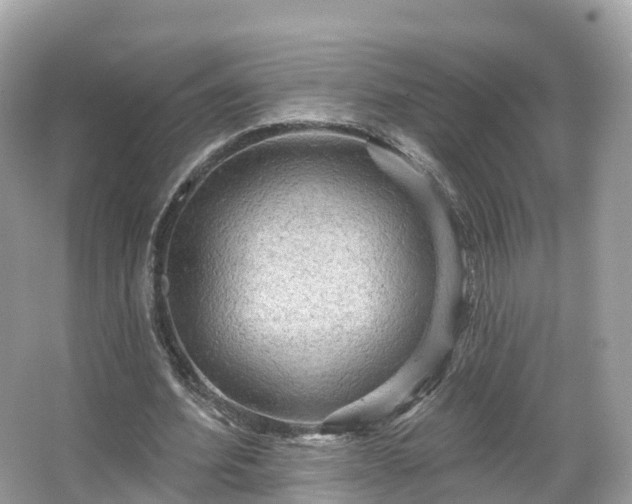 X0000066120580200603131330