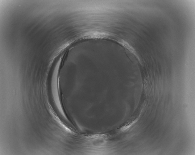 X0000066120581200603131330