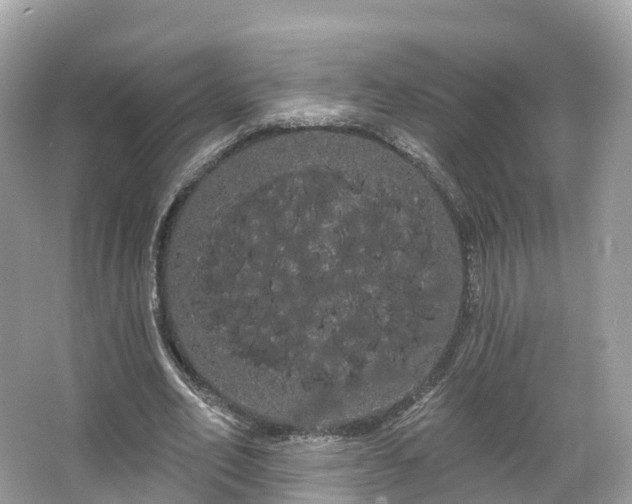 X0000066120582200603131330