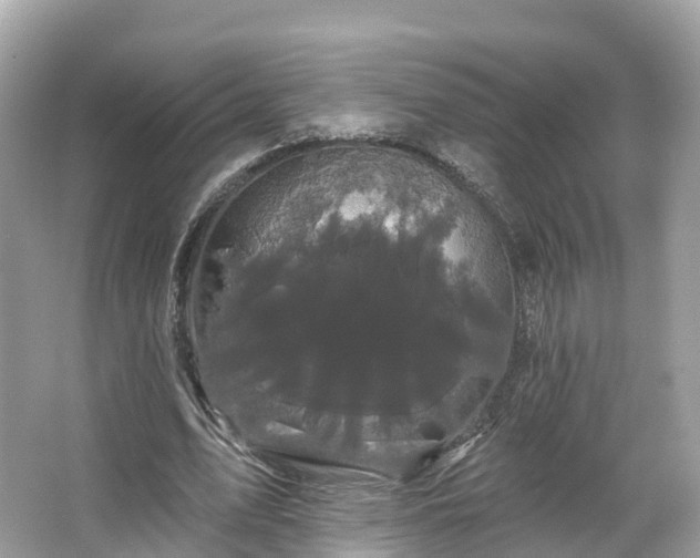 X0000066120583200603131330