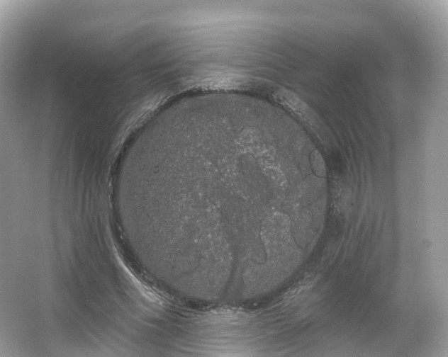 X0000066120586200603131330