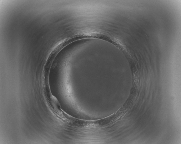 X0000066120587200603131330