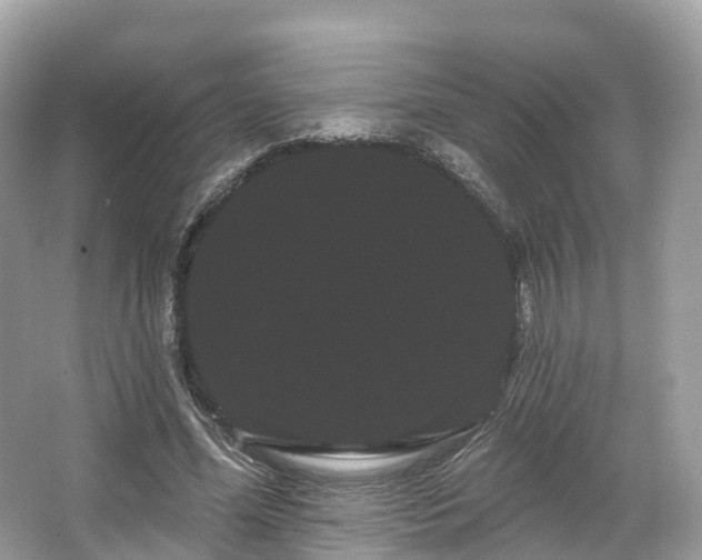 X0000066120588200603131330