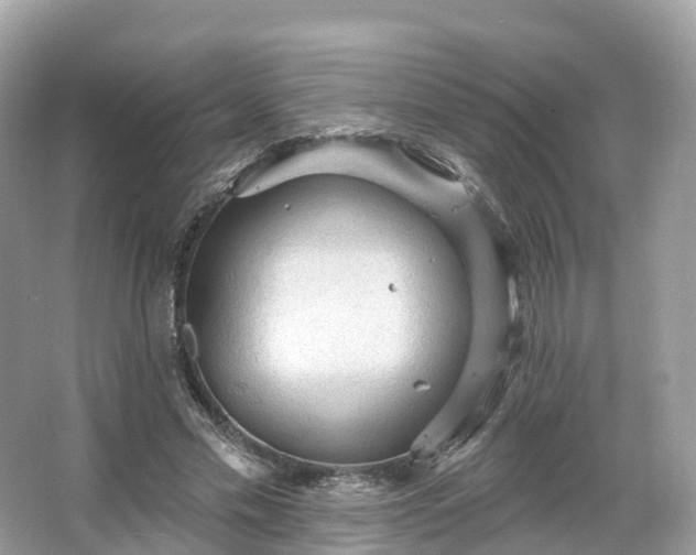 X0000066120589200603131330