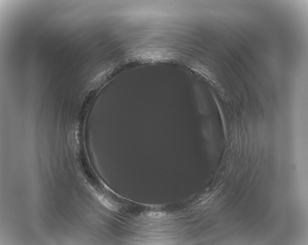 X0000066120590200603131330