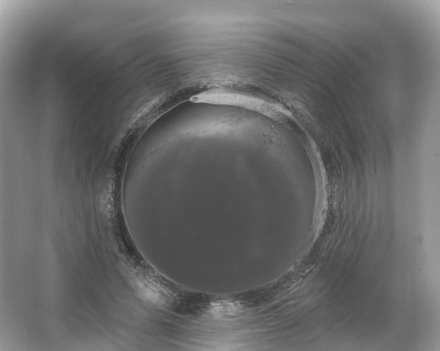 X0000066120591200603131330