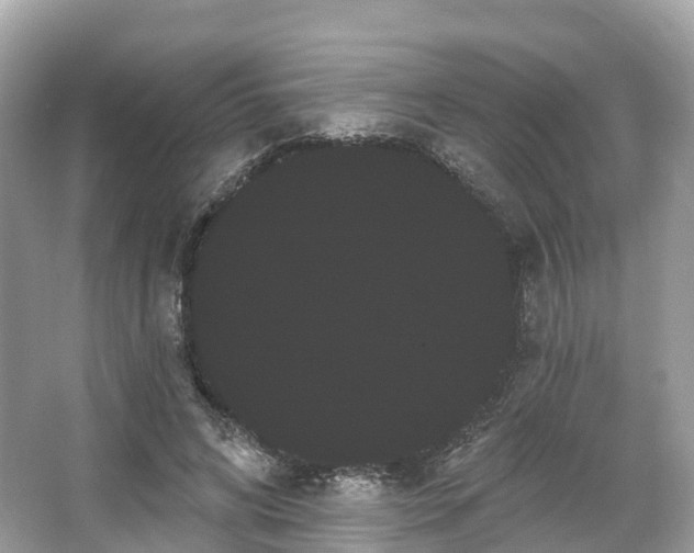 X0000066120592200603131330