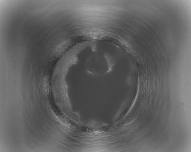 X0000066120594200603131330