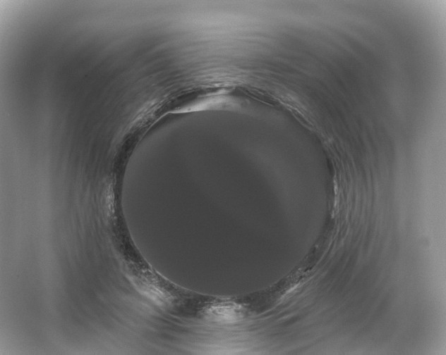 X0000066120595200603131330