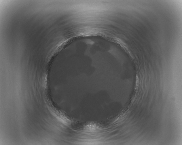 X0000066120596200603131330