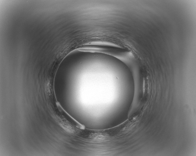 X0000066120597200603131330