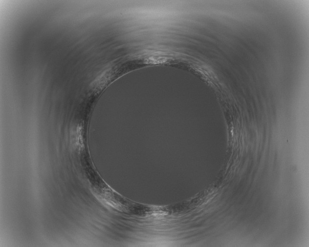 X0000066120598200603131330