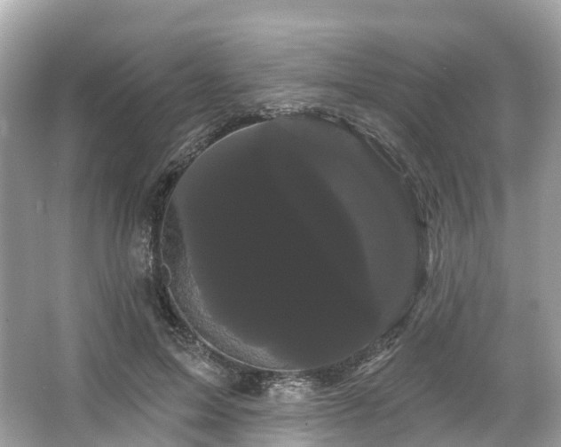 X0000066120599200603131330