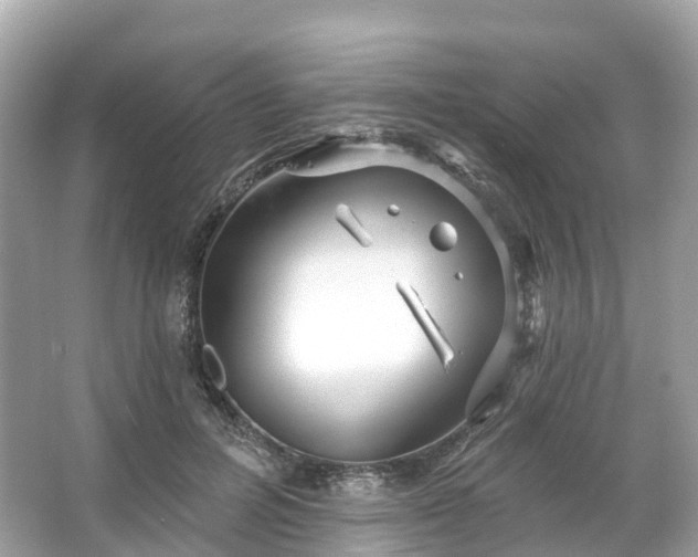 X0000066120600200603131330