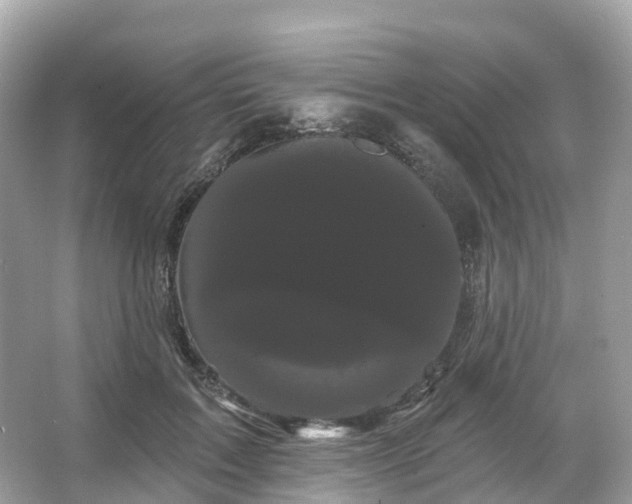 X0000066120603200603131330