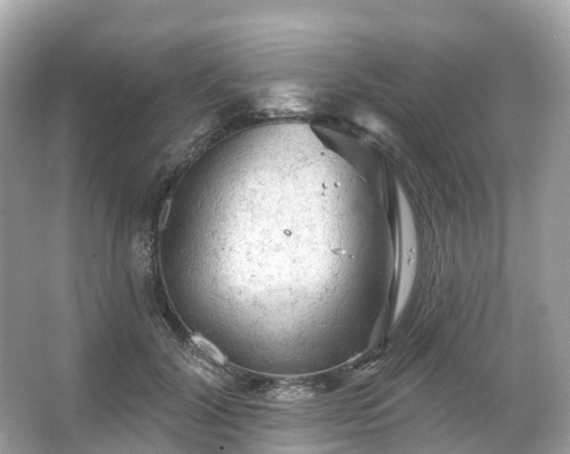 X0000066120604200603131330