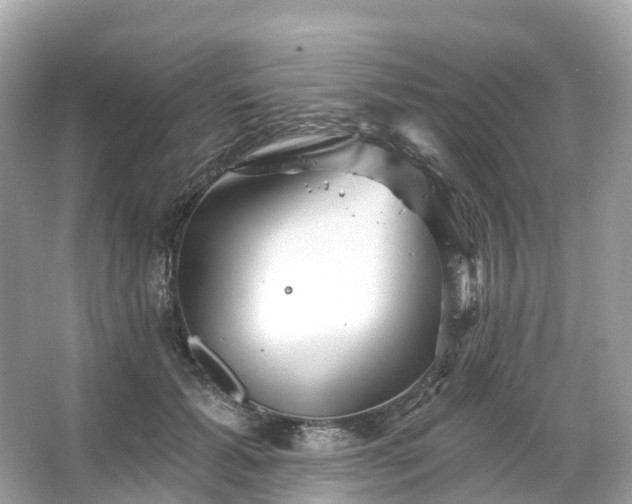 X0000066120605200603131330