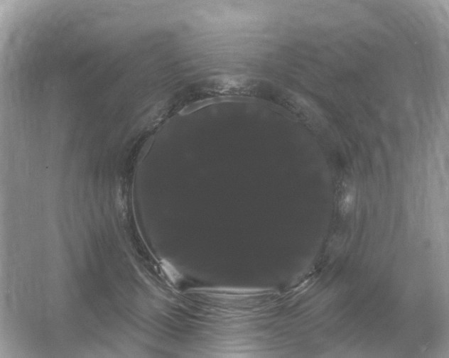 X0000066120607200603131330