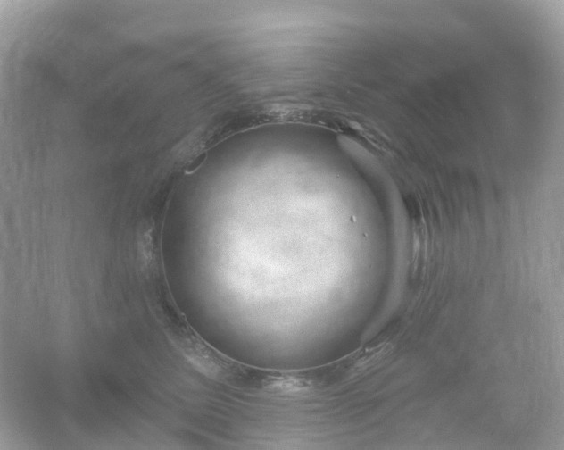 X0000066120611200603131330