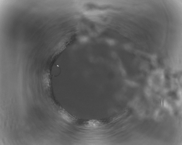 X0000066120612200603131330