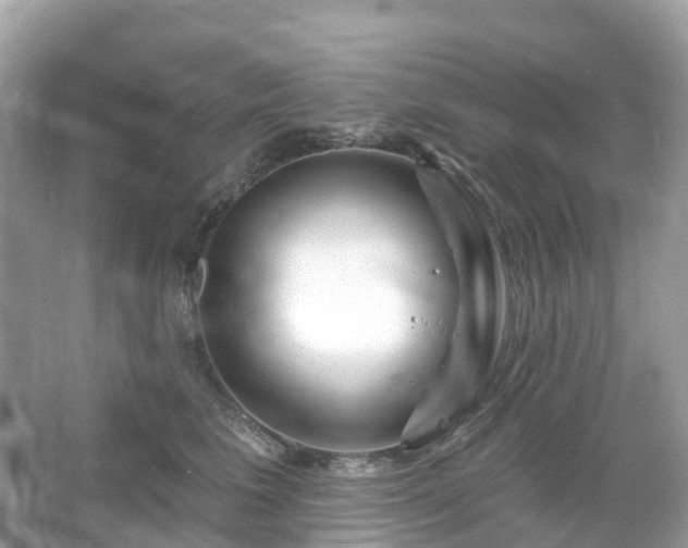 X0000066120613200603131330