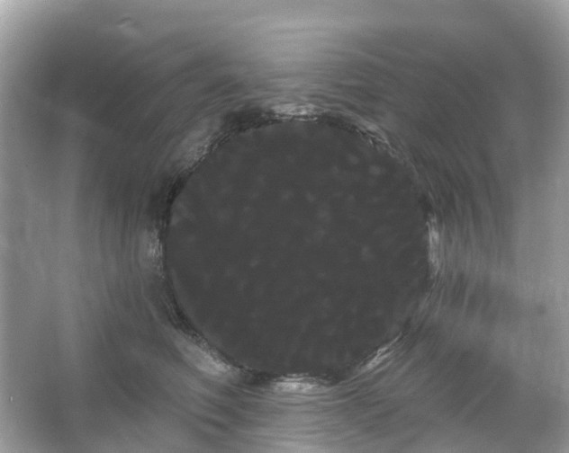 X0000066120614200603131330