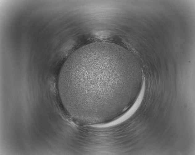 X0000066120615200603131330