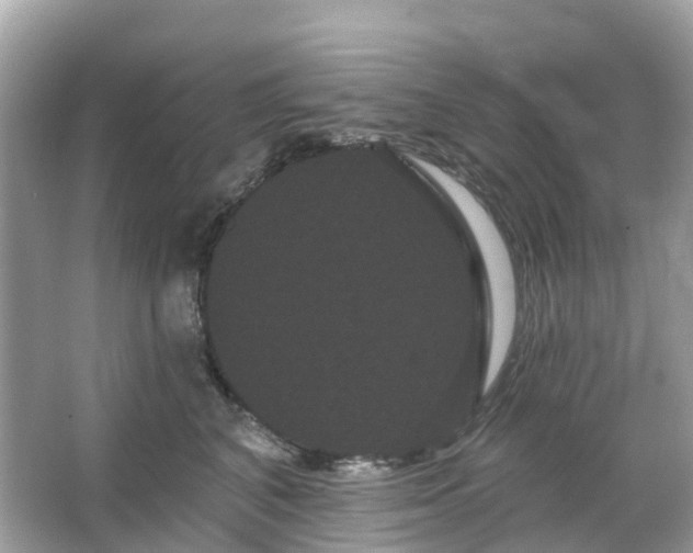 X0000066120616200603131330