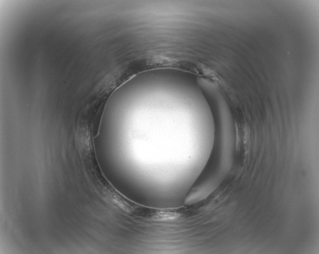 X0000066120617200603131330