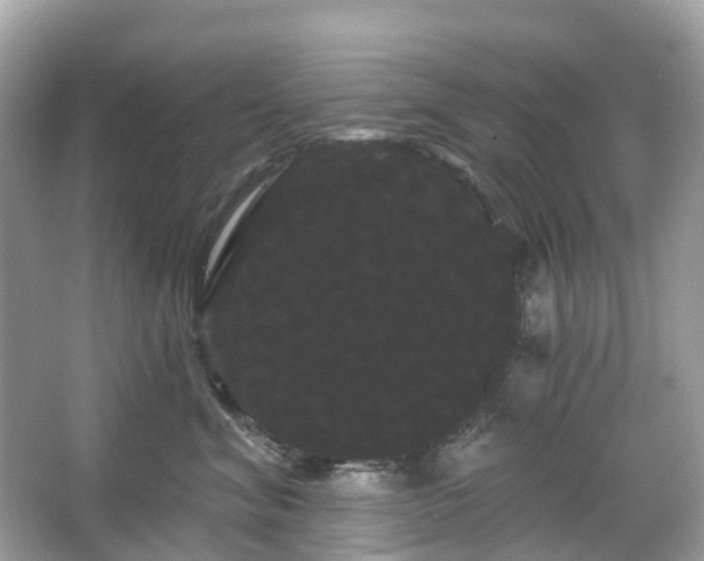 X0000066120620200603131330