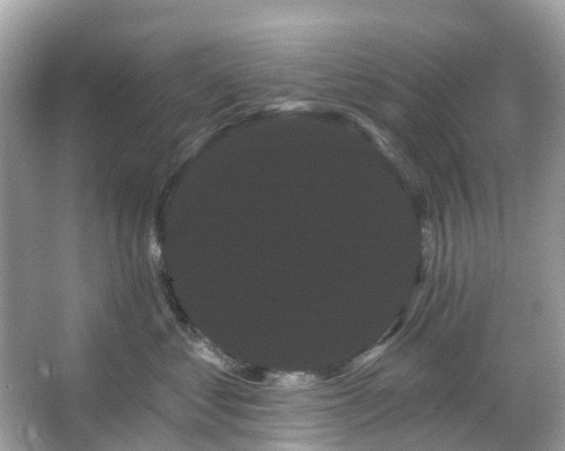 X0000066120621200603131330