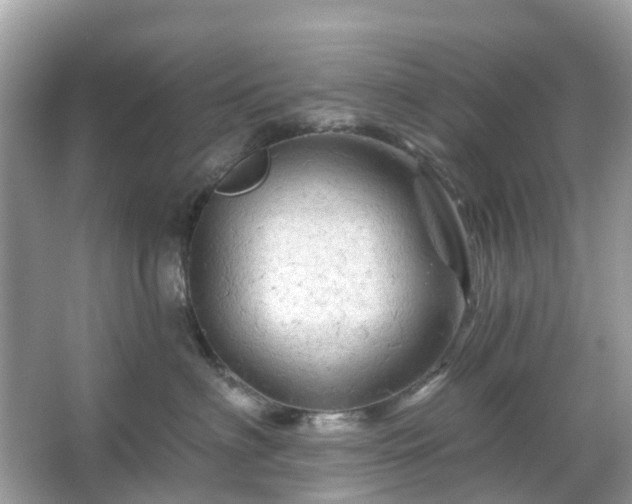 X0000066120622200603131330